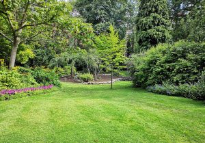Optimiser l'expérience du jardin à Chesnois-Auboncourt